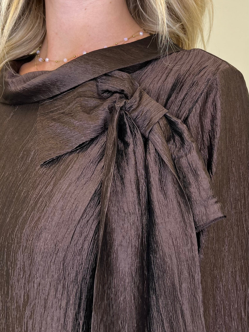Blusa Chiffon Fiocco e Colletto 8526 Marrone