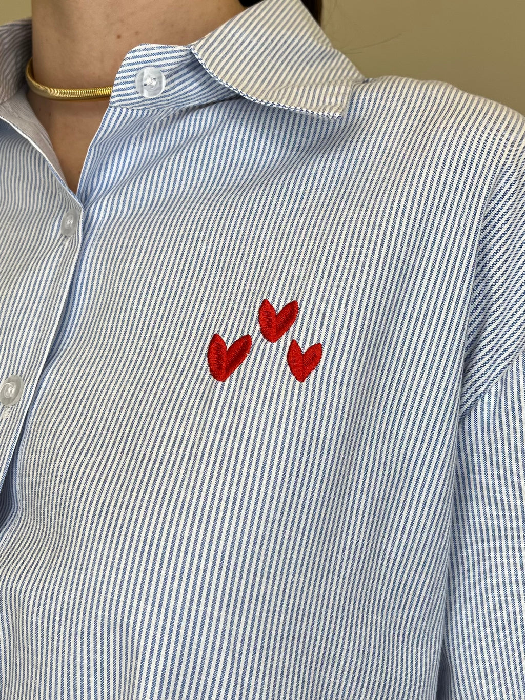 Camicia Ricamo "Fitnes Atty" 2497 Azzurro