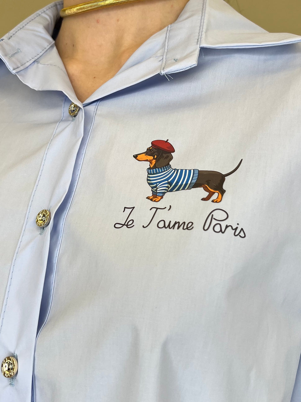 Camicia Bassotto 82080 Azzurro