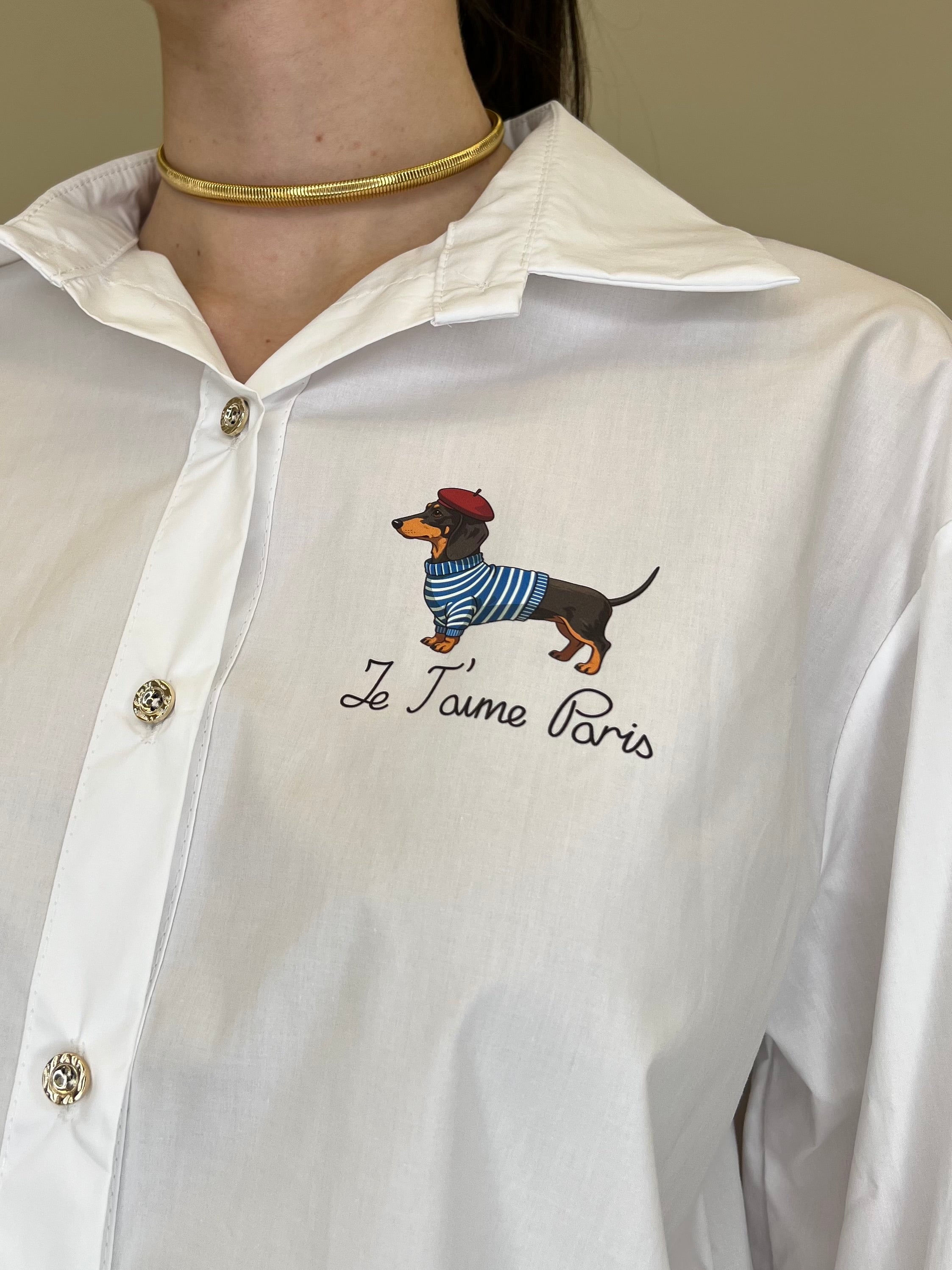 Camicia Bassotto 82080 Bianco