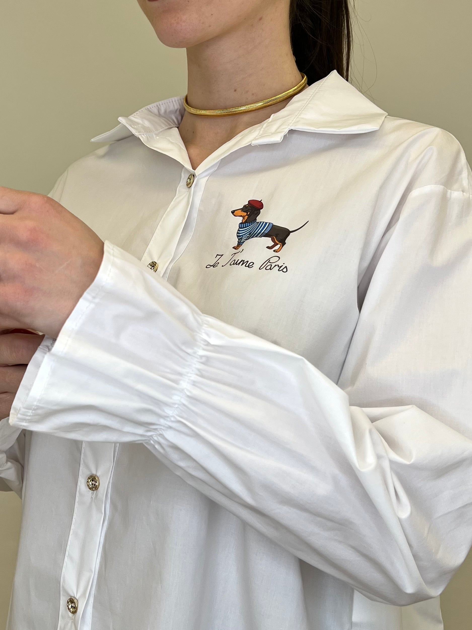 Camicia Bassotto 82080 Bianco